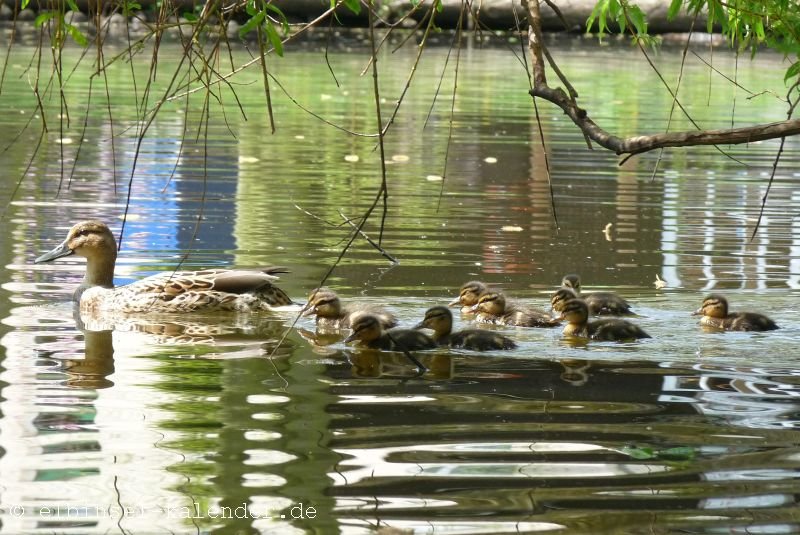 Familienausflug