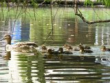 Familienausflug.jpg