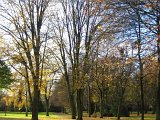 Rathaus_Park.jpg